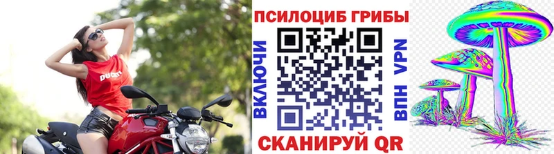 Галлюциногенные грибы Cubensis  цена наркотик  Арсеньев 