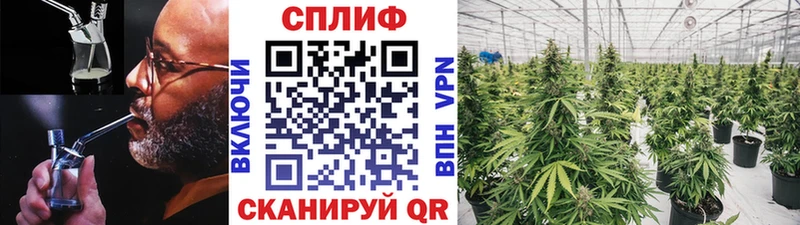 МАРИХУАНА конопля Арсеньев